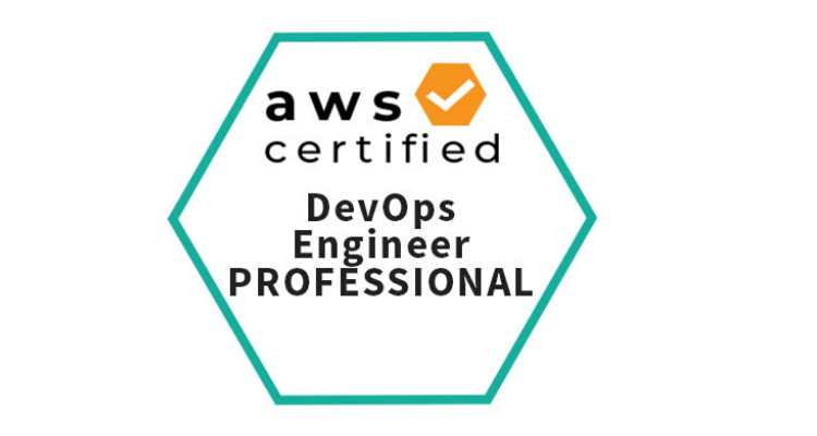 Why should freshers undertake aws professional course? 