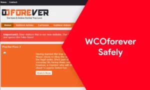 Is WCO Forever safe?
